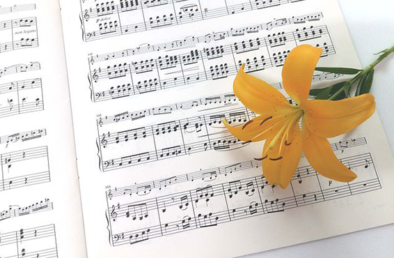 楽譜と黄色い花の画像